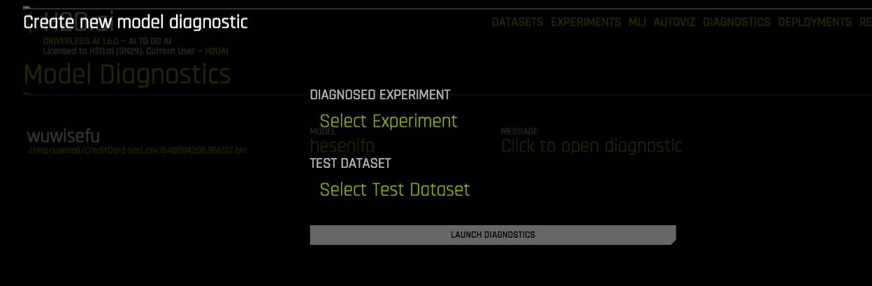 Model Diagnostics Setup1